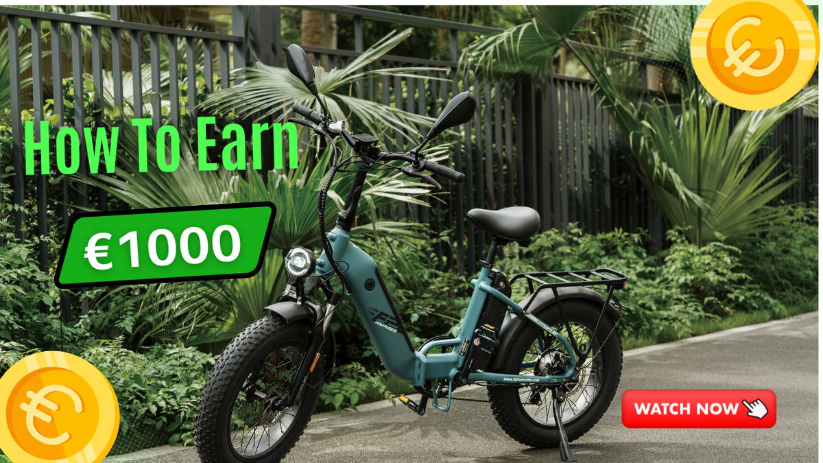 Get Your License Plate, Get Paid: Earn Up to €1,000 with Fafrees!