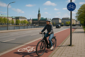 Hampuri E-Bike: Wasebergin valloitus & Altes Landin tutkiminen