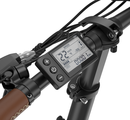 Näyttö E-bike
