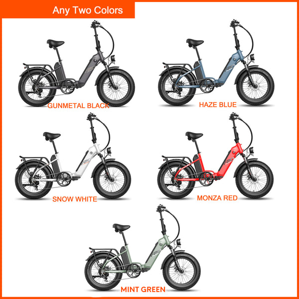 Ebike Bundle - Fafrees FF20 Polar  kaksoispattereilla (2 Pack) - fafreesebike